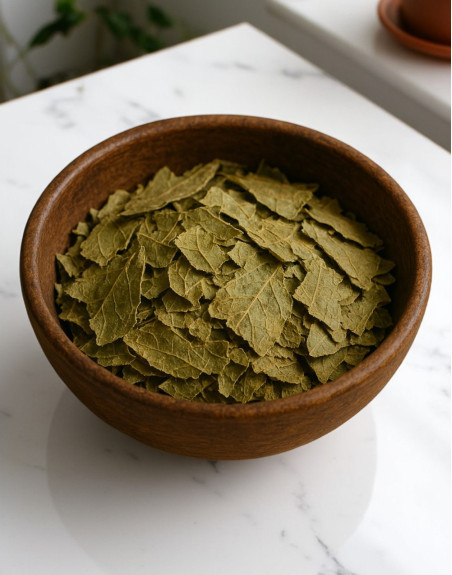 Abacateiro Folhas 50gr